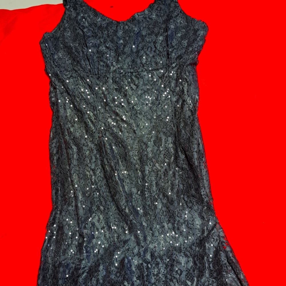 Sequence and Lace Dress